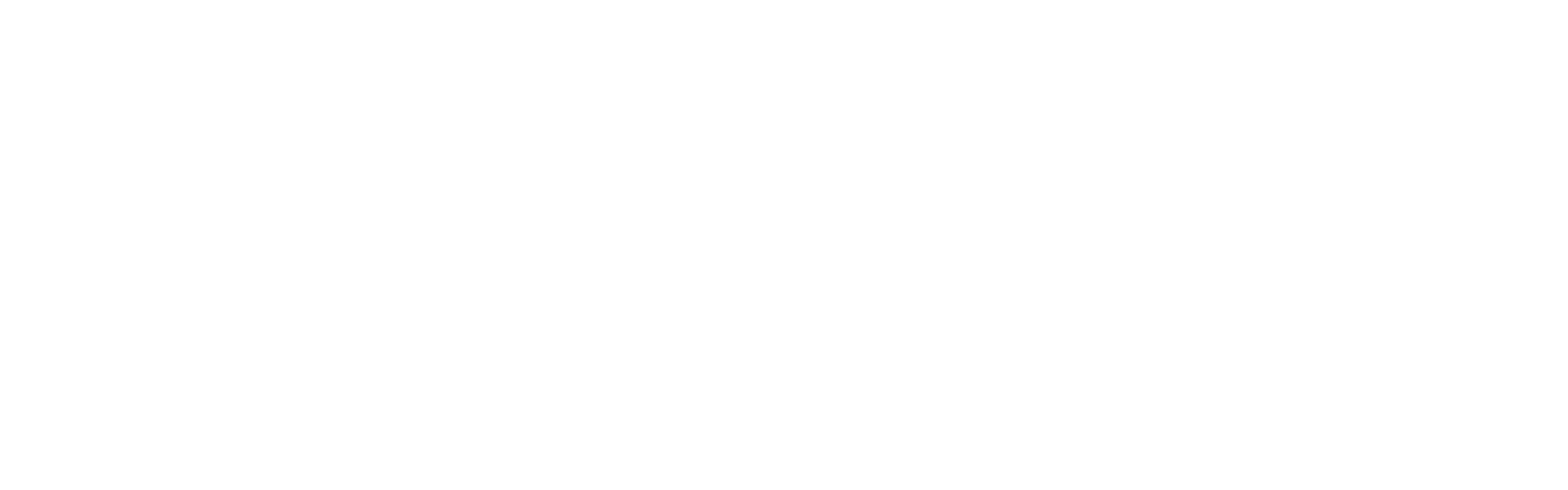 Feeno Logo